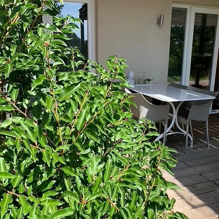 Gleisberg3 - Suedliche Weinstrasse Διαμέρισμα Billigheim-Ingenheim