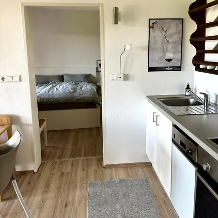 Апартаменты Gleisberg3 - Suedliche Weinstrasse Billigheim-Ingenheim