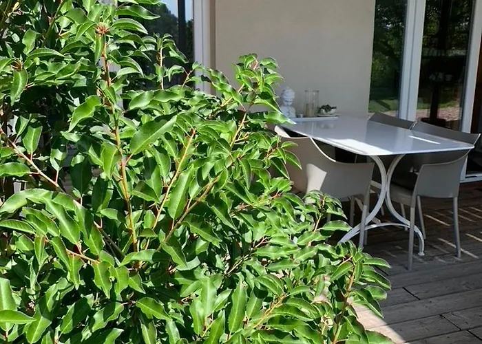 Gleisberg3 - Suedliche Weinstrasse דירה Billigheim-Ingenheim